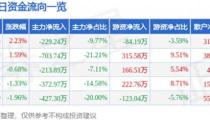 股票行情快报：京能置业（600791）6月24日主力资金净卖出229.24万元