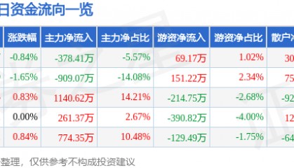 股票行情快报：华电能源（600726）6月13日主力资金净卖出378.41万元