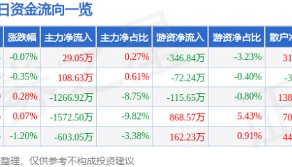 股票行情快报：峨眉山Ａ（000888）7月3日主力资金净买入29.05万元