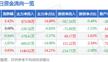股票行情快报：华电能源（600726）6月17日主力资金净买入873.90万元
