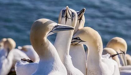 城市更新如何传承与再生