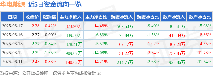 股票行情快报：华电能源（600726）6月17日主力资金净买入873.90万元