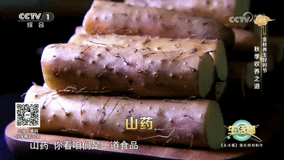 秋季养生做好这3件事 让你气血足、心情好、脏腑润→