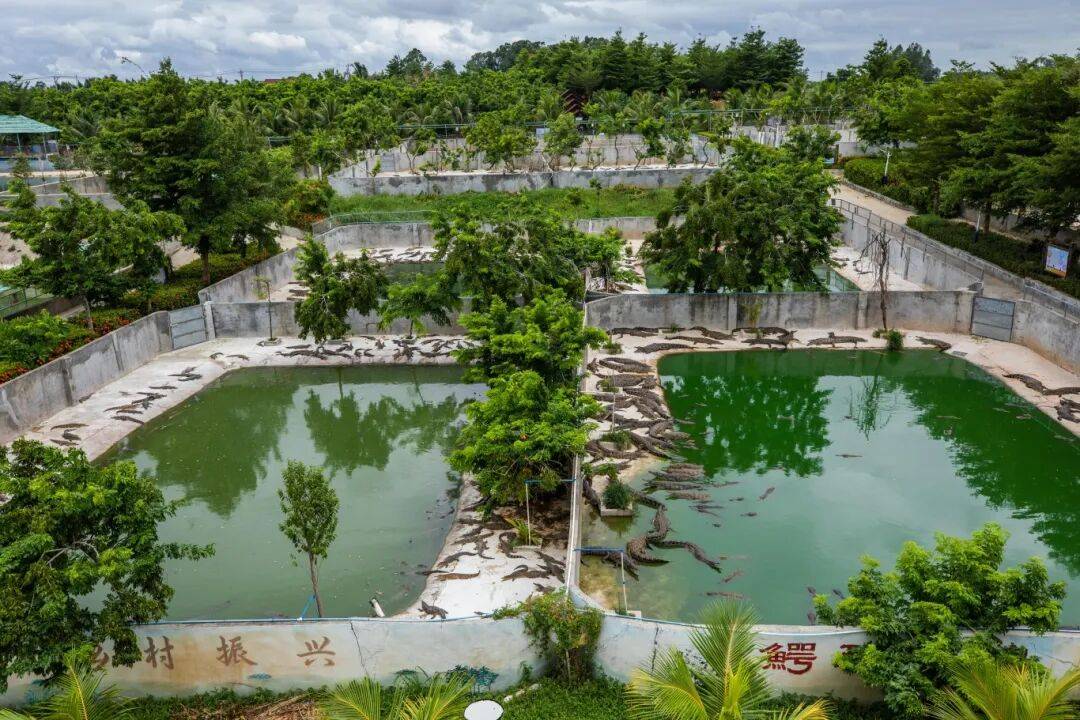 如何推动农村集体经济更好保值增值？