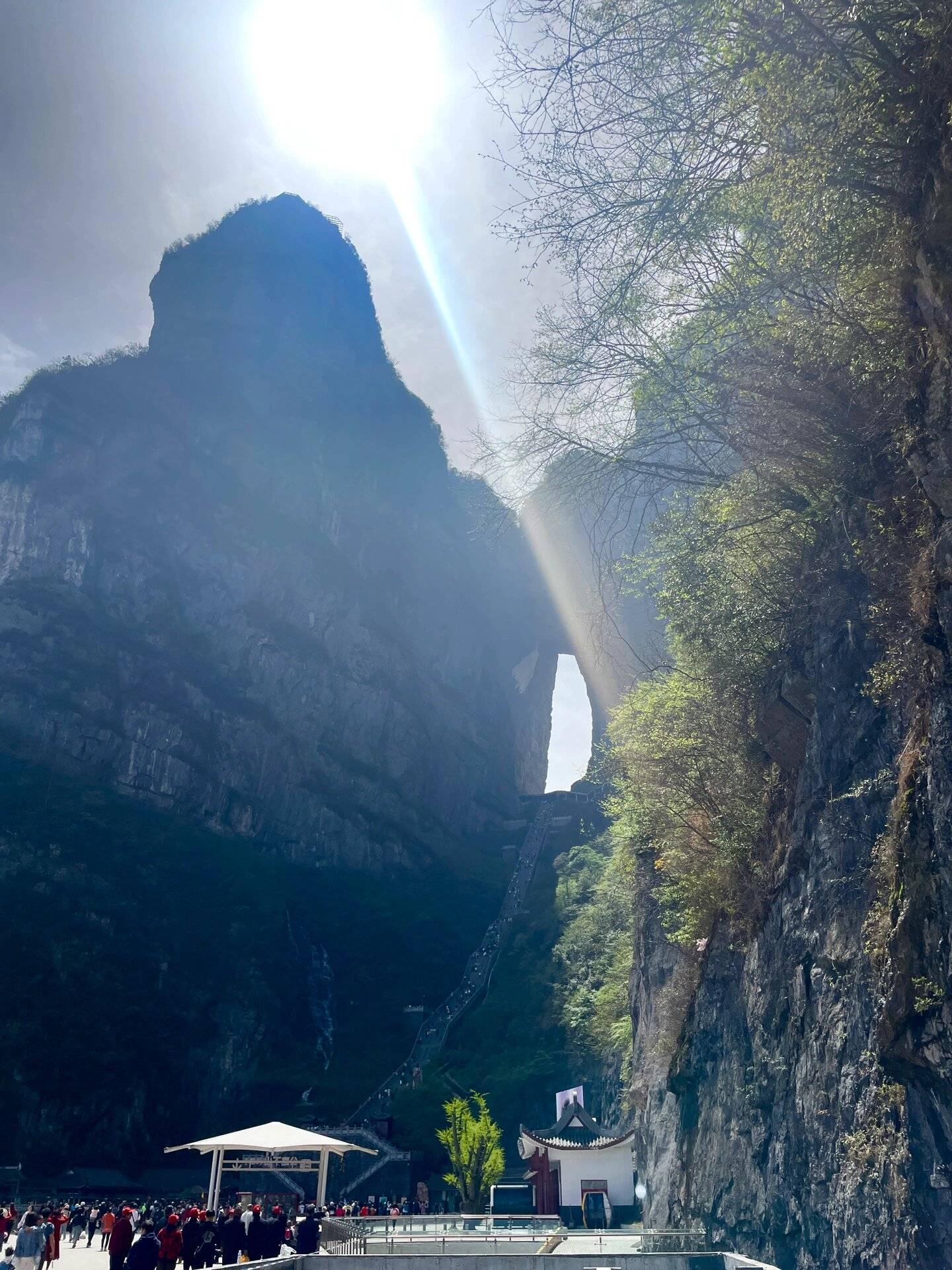 张家界4天如何游玩？4天游玩攻略，新手直接抄，不踩雷！