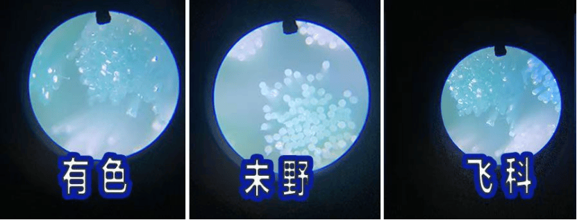 有色、未野、飞科迷你mini剃须刀好不好用？如何选？主流品牌测评PK